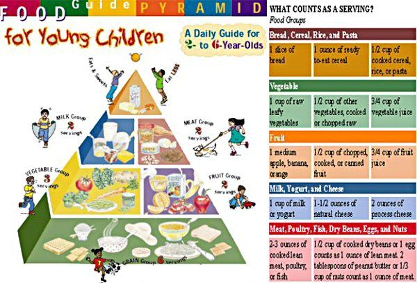 food pyramid for kids pdf