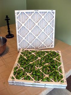 how to build a hops dryer